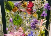 IMG-20250507-WA0007