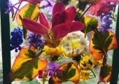 IMG-20250507-WA0008