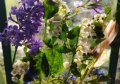 IMG-20250507-WA0009